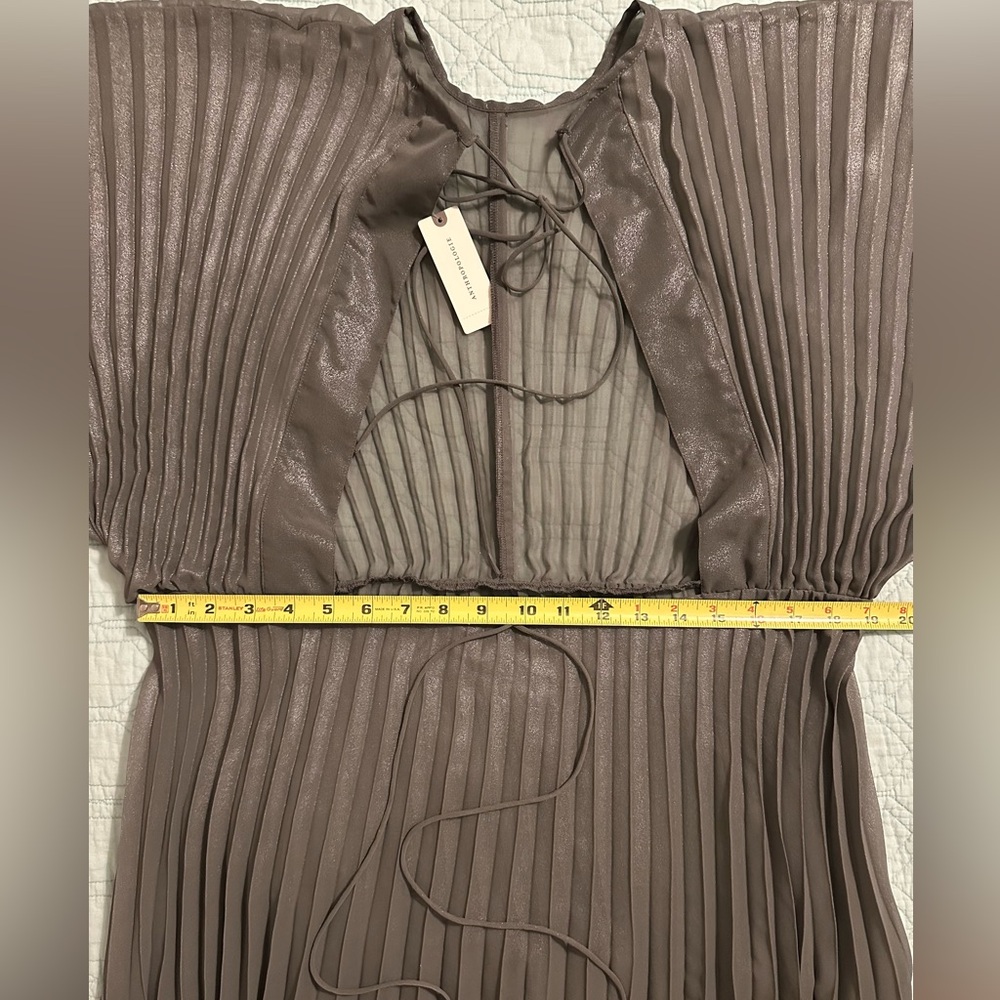 Anthropologie Sheer Pleated Taupe Maxi Dress - Picture 9 of 9